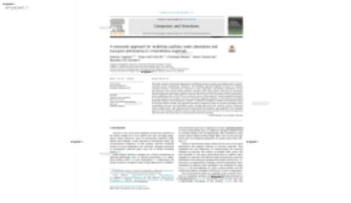 A mesoscale approach for modeling capillary water absorption and transport phenomena in cementitious materials